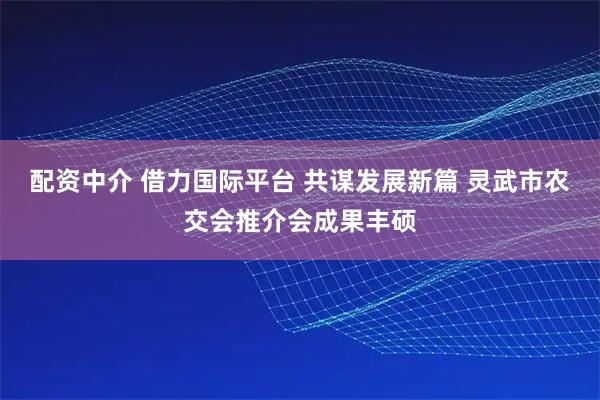 配资中介 借力国际平台 共谋发展新篇 灵武市农交会推介会成果丰硕
